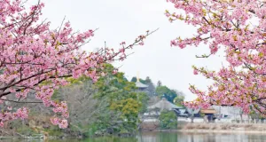 高松市立仏生山公園